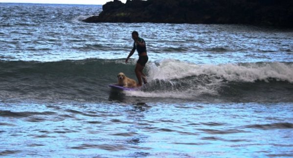 Surfing in Madeira Island 